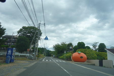2-�������DSC01042