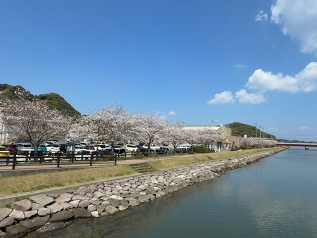 �׳��䤹�餮�ξ���IMG_7566