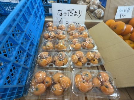 ����Į���⤮���ƿ����ԡ����ڤӤ�IMG_9890