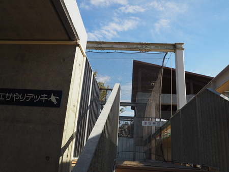 2021.11.14 �����ݻԡ��彽����ư��ʪ�ࡡ�������PB136600