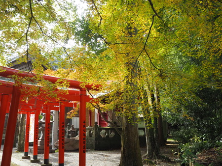 2021.11.21������ԡ�������PB187380