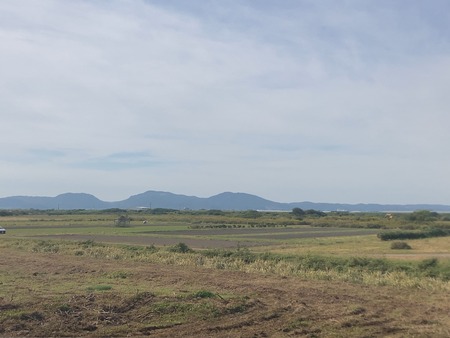 ¹âÍèÄ®¹õºê¤Î¥³¥¹¥â¥¹ÈªIMG_1098