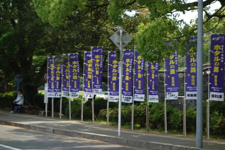 2-諫早公園 蛍DSC05748