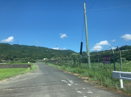 ���츩��Į���ߥ��ե����भ��� �饤��Ŧ�߼���IMG_8342