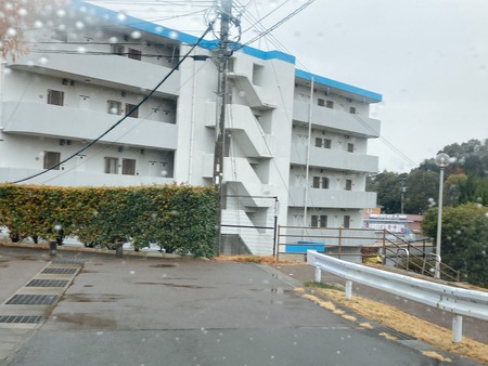 2022.02.21 大村市 久原公園 河津桜IMG_9014