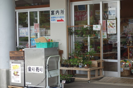 5-����ֹ⸶DSC07631