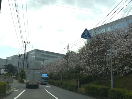���ˡ�IMG_6489