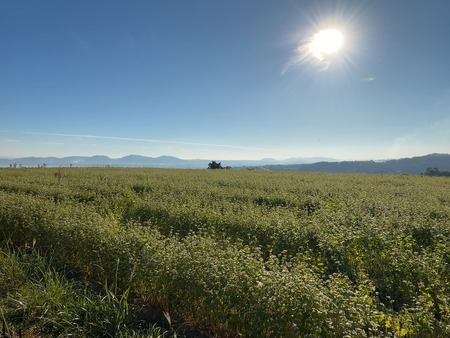 ����Թ���Į�����ι��褽�С������β�IMG_3667