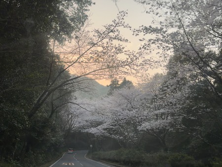 ����Կ���Į�����Υȥ�ͥ�IMG_6128