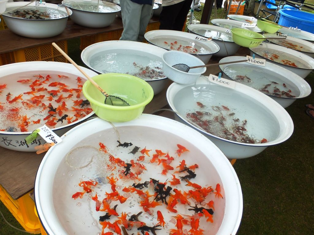 Jrウォーキング 長洲金魚まつりと造船の町を訪ねて 熊本県長洲町 長崎 諫早市民 ふくちゃんの食う 寝る 遊ぶ日記 Jrウォーキング 長洲金魚まつりと造船の町を訪ねて 熊本県長洲町 長崎 諫早市民 ふくちゃんの食う 寝る 遊ぶ日記