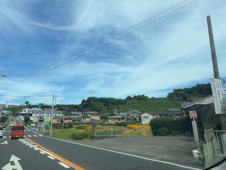 ���縶��������ΤҤޤ��ȪIMG_6357