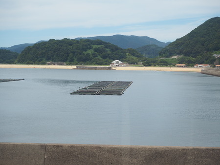 2021.08.09�����������Į�����ե�O-2P7219545