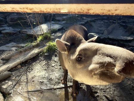 Ĺ��Х����ѡ������֥饸��Х�IMG_0322