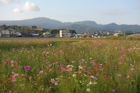 9-DSC00473