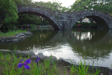 4-諫早公園DSC07327