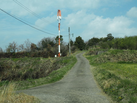 2023.03.22 大村市東大村 松本さん宅の桃の花P1017401