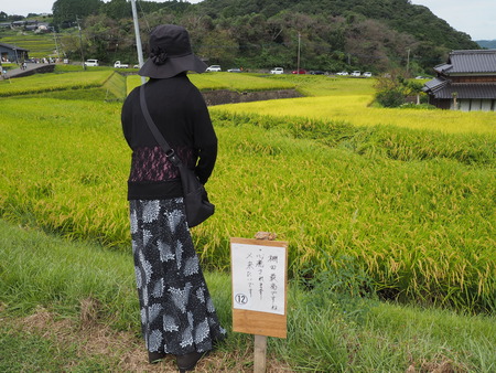 ȺĮêĤޤĤꭥP9241074