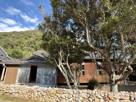 Ⱦ�񶵲�IMG_5063