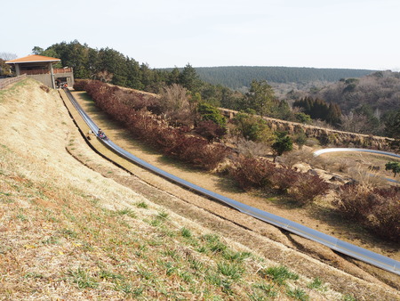 諫早市小長井町 山茶花高原P1161551