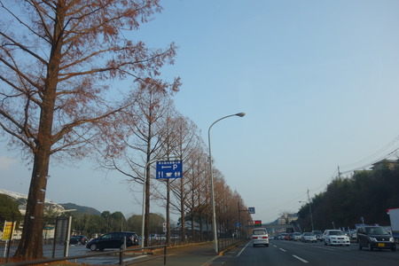 6-長崎運動公園DSC02933