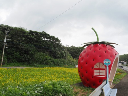 2021.07.07����Ծ�Ĺ��Į�����ե롼�ĥХ���P7078647