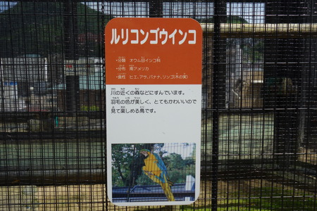 8-ưʪ�Ҥ���DSC09488