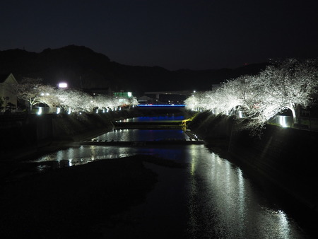 2023.03.31��Ĺ��ԡ���Ϻ��κ�����P1011042