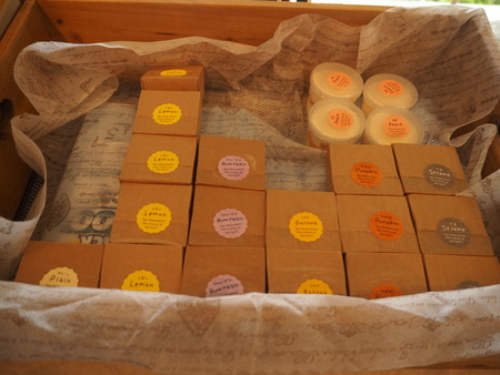 6-���縶������Į��WISSHP7244408