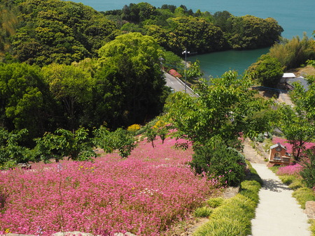 2023.04.22 長崎市琴海 ハッピーテラスP1015776