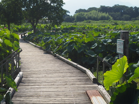 2025.07.22¡¡ëÝÁá»Ô¡¡ÅâÈæ¥Ï¥¹±à¡¡ÁÐÆ¬Ï¡P7230106