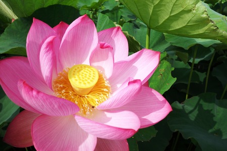 9-��������ϡ��DSC08340