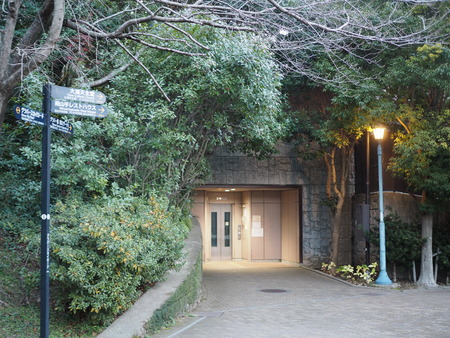 ����С������������ɡ���ľ����١�����P1011417