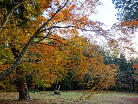 6-DSC05432