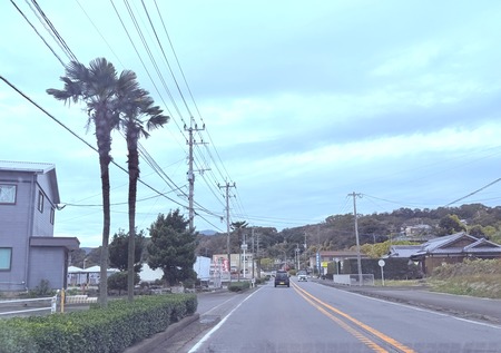 ����Ծ�Ĺ��Į����������������IMG_8606