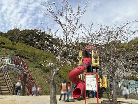 ����Į����εָ��ࡡͷ�񹭾�_1774867175