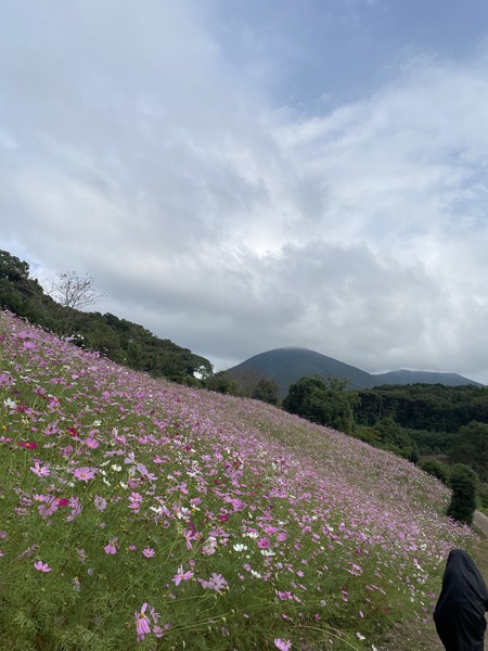 ��������Υ����⥹IMG_2524