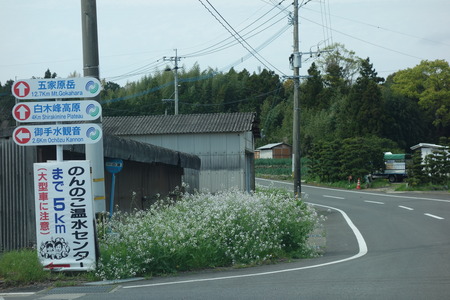 1-白木峰高原DSC06065