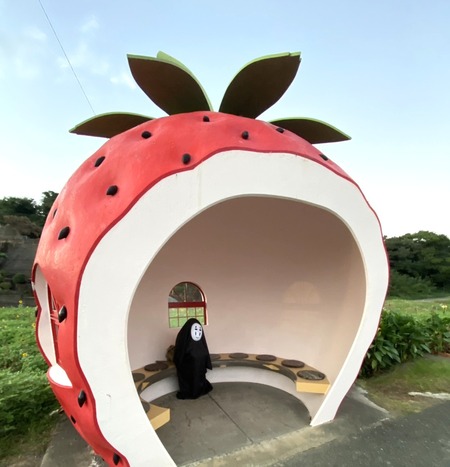 °æºê¥Õ¥ë¡¼¥Ä¥Ð¥¹ÄäIMG_0842