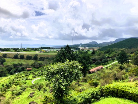 2023.10.15 諫早市小長井町 山茶花高原IMG_7304