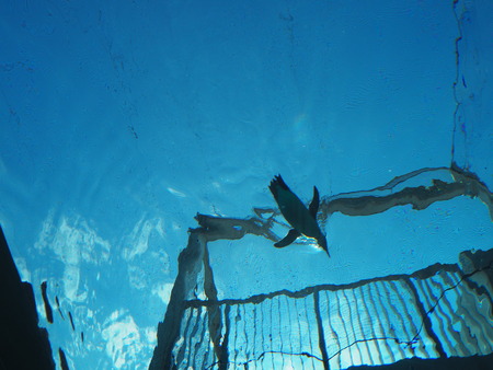 2021.11.14 �����ݻԡ��彽����ư��ʪ�ࡡ�������PB136547