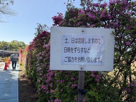���ܥĥĥ��ࡡIMG_0957
