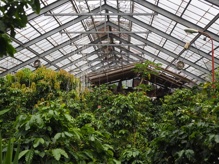 2024.07.02 大村市 長崎スコーコーヒーパークP1010622