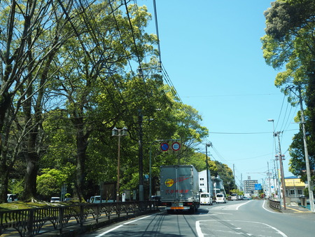 3-´ÒÁá»Ô±§ÅÔÄ®¡¡Earth¡¡P4140085