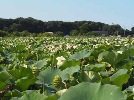 2025.07.22¡¡ëÝÁá»Ô¡¡ÅâÈæ¥Ï¥¹±à¡¡ÁÐÆ¬Ï¡P7230112