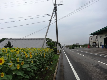 2-DSC03432