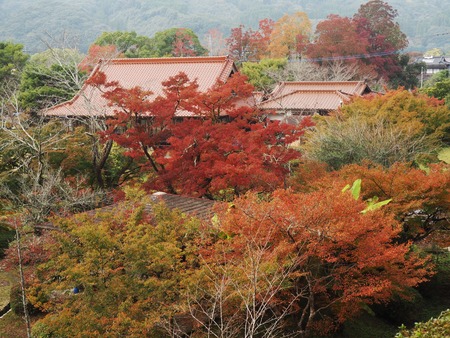 2024.11.22 多久市 西渓公園PB170049