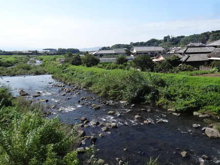 11-¹ì¶®DSC02388