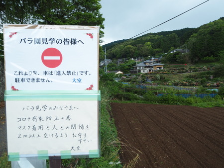 10-諫早市大場町 大室さんのバラ園 P5161163