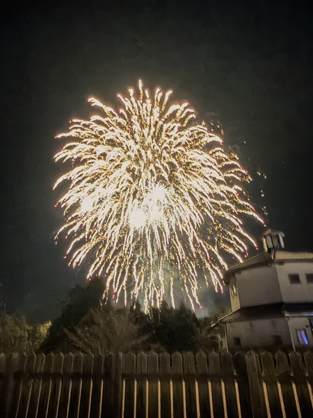 ±ÀÀçÅô¤ê¤Î²Ö¤Ü¤¦¤íIMG_9662