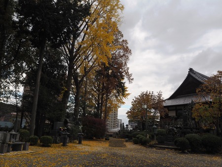 2021.11.24������ԡ��Ĵ��PB247947